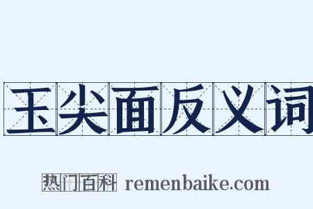 玉尖面反义词是什么意思的图片